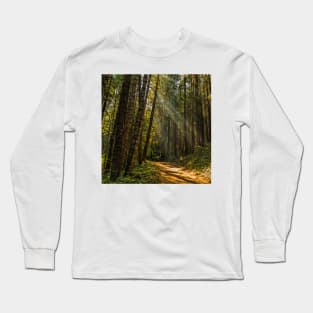 Smokey Forest Long Sleeve T-Shirt